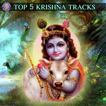 Top 5 Krishna Tracks - Ketan Patwardhan Song Download